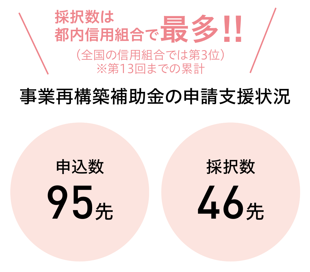 申込数95先/採択数46先/※第13回までの累計
